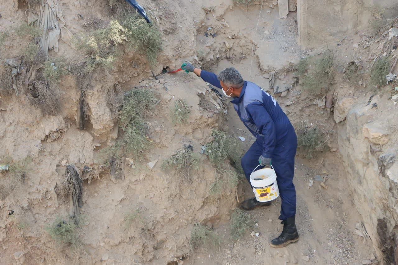 Specialized Baiting on the Banks of Arak Rivers to Control the Population of Pests