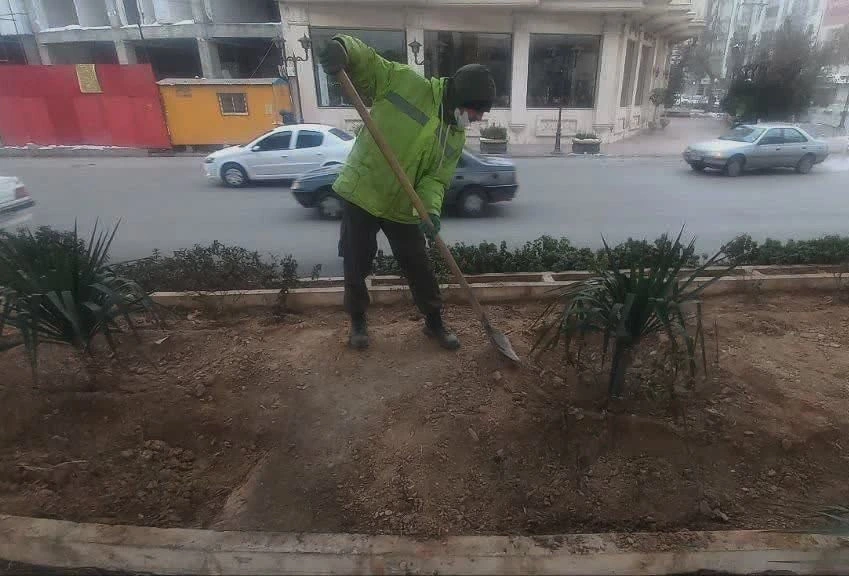 Round-the-clock efforts to sustain and revitalize Arak's green spaces