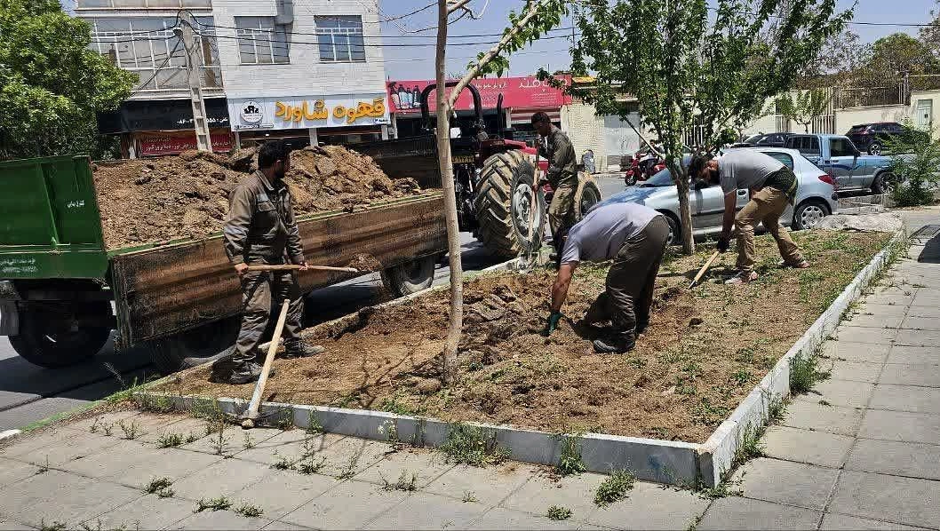 Implementation of extensive operations to level streets and improve the quality of the urban environment
