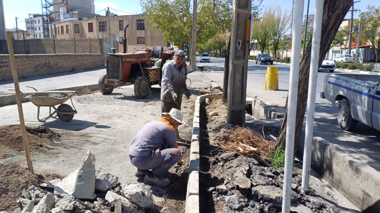 photo18353630228