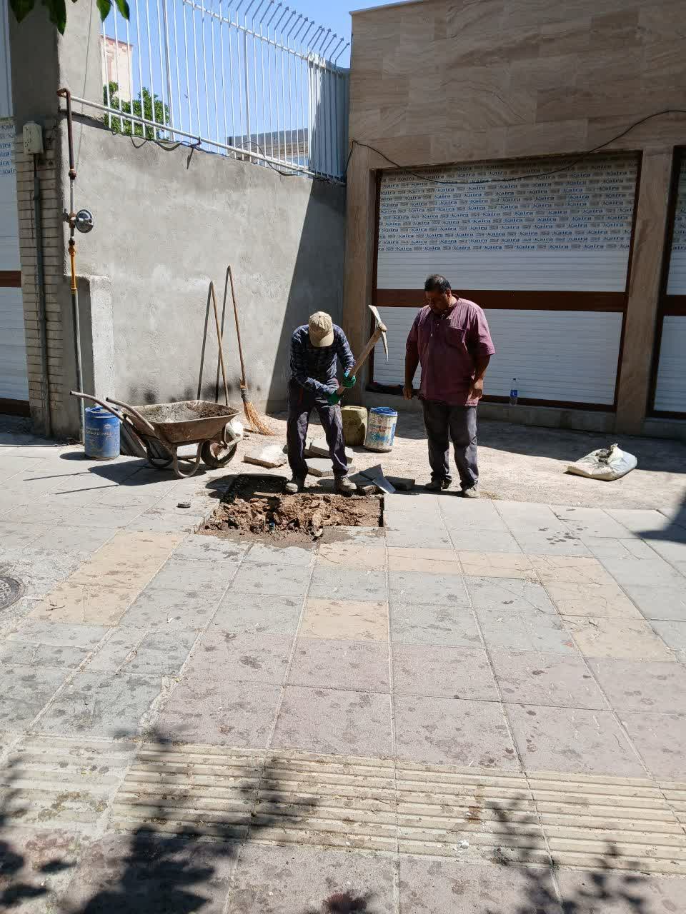 photo19118231606