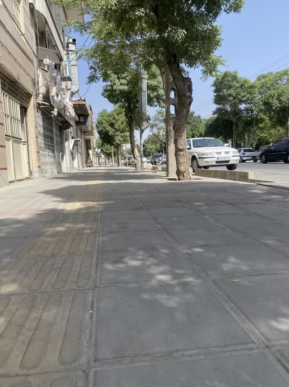 photo19308886504