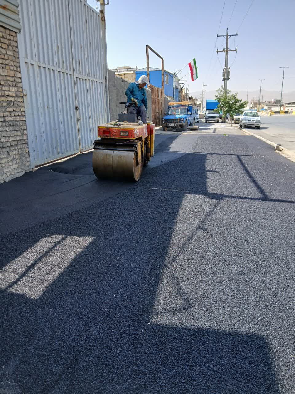 photo19605948073
