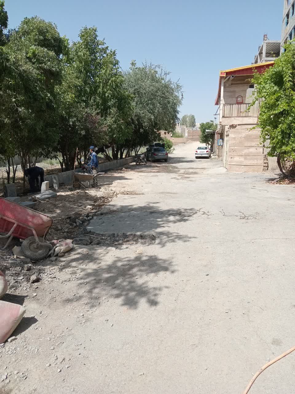 photo19669090785