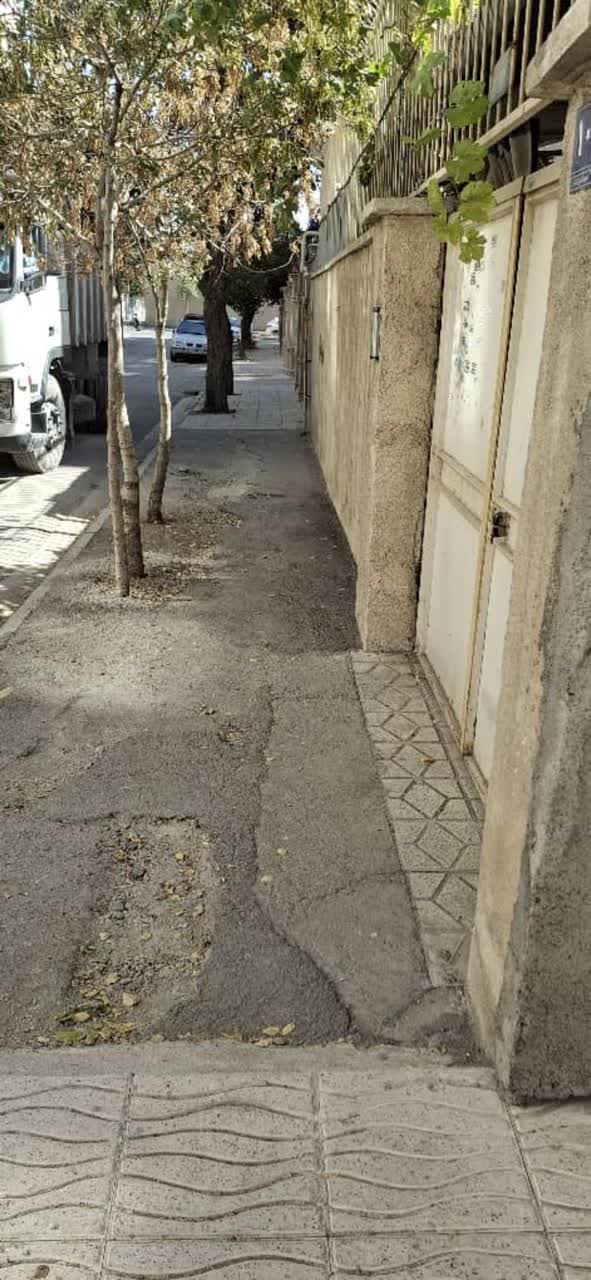 photo21491516776