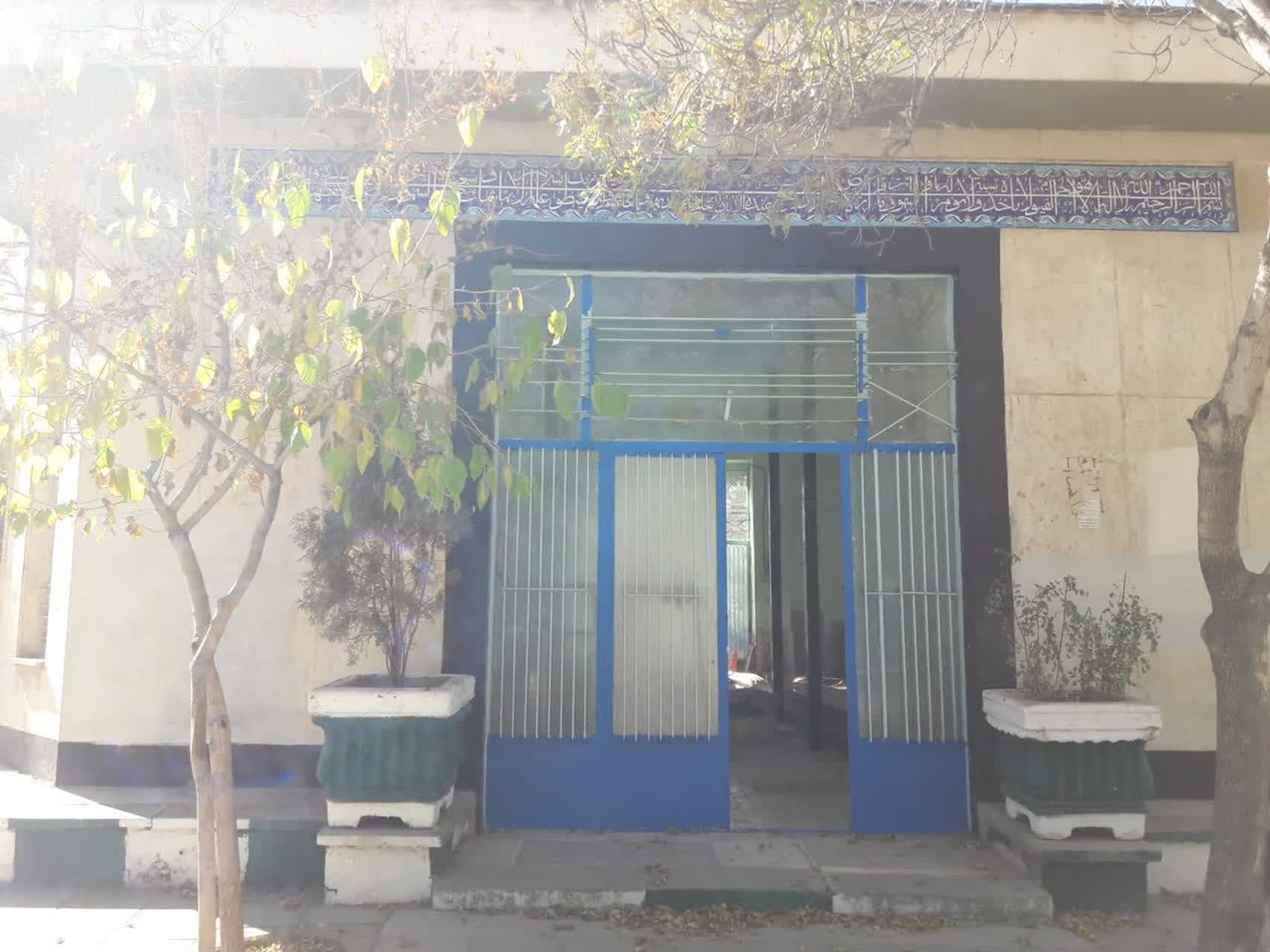 photo21979722004