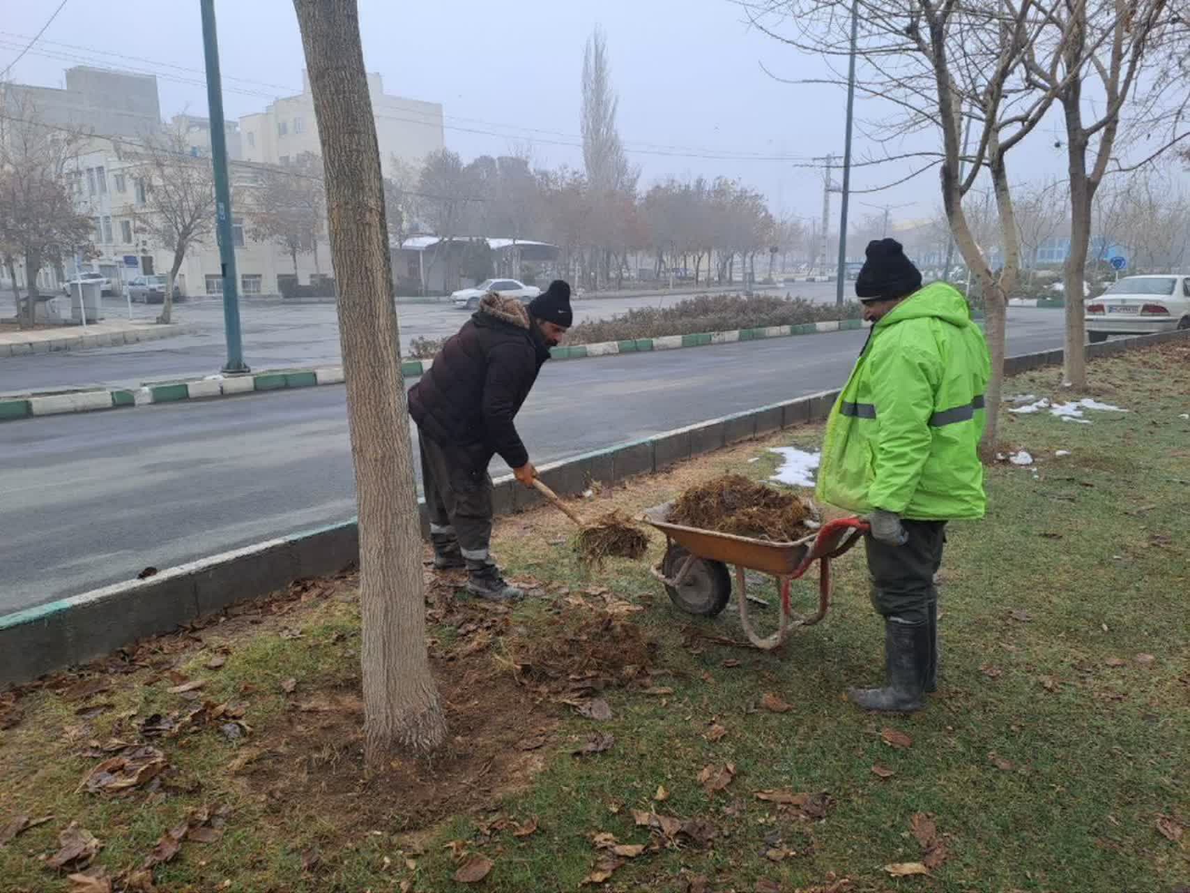 photo23069583649