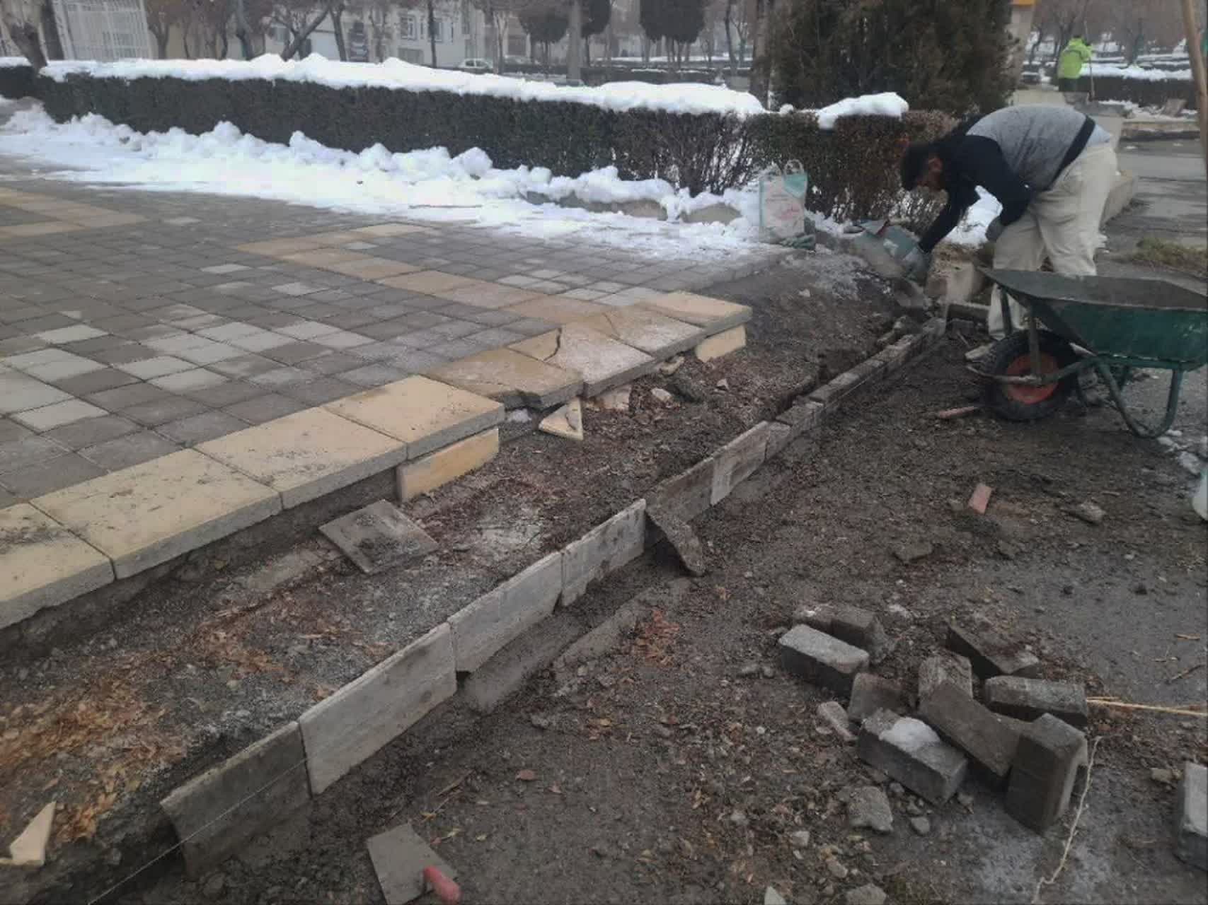 photo23096544407